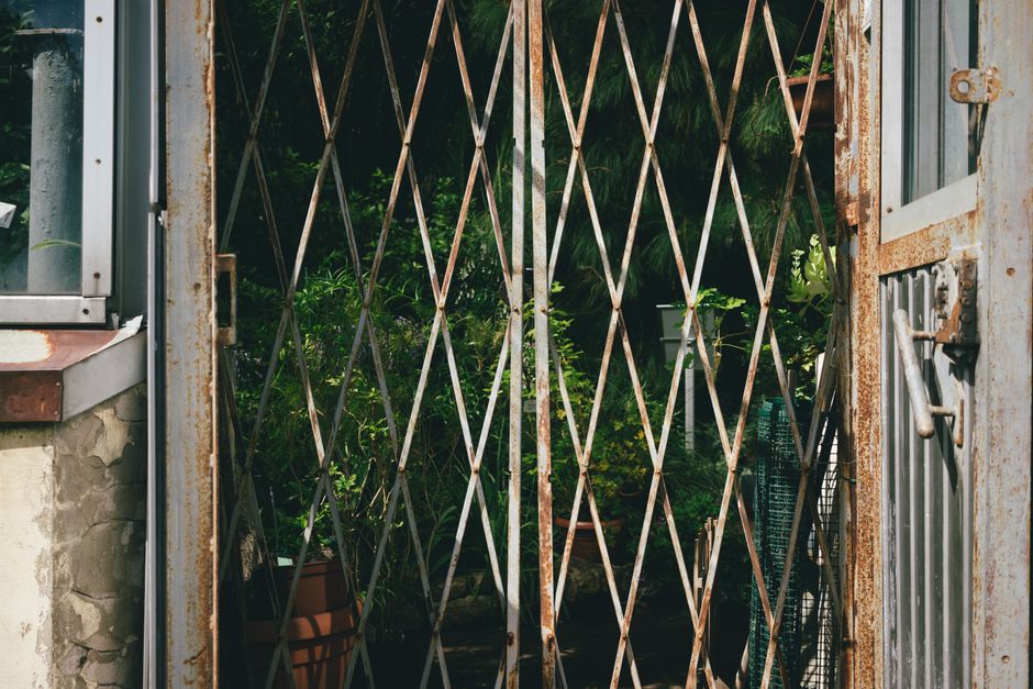 A vintage metal garden gate opening to a vibrant greenhouse filled with lush foliage.