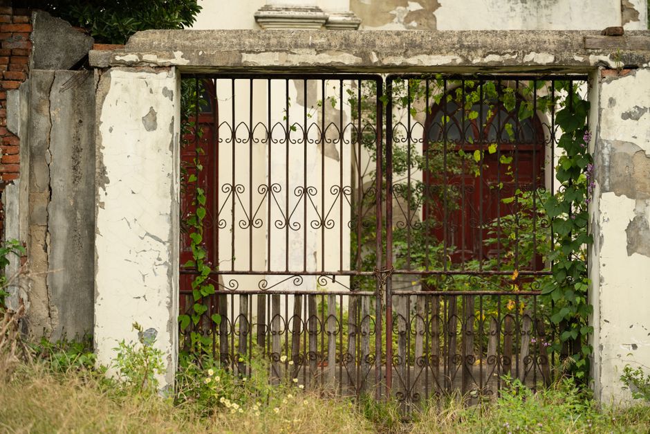 An old iron gate with ivy in a weathered stone wall background.